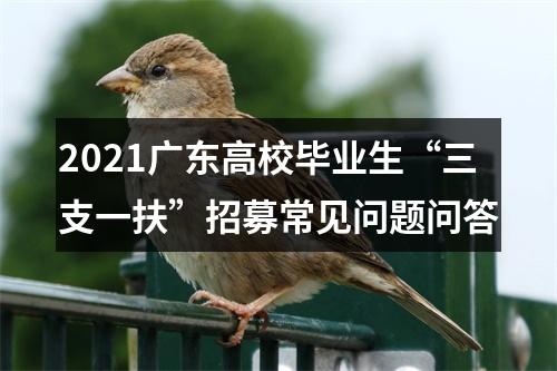2021广东高校毕业生“三支一扶”招募常见问题问答 图片