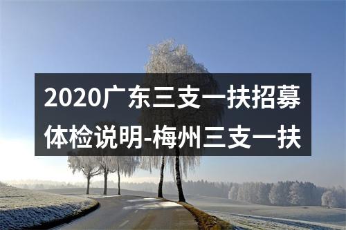 2020广东三支一扶招募体检说明-梅州三支一扶 图片