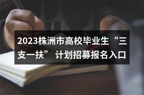 2023株洲市高校毕业生“三支一扶” 计划招募报名入口 图片