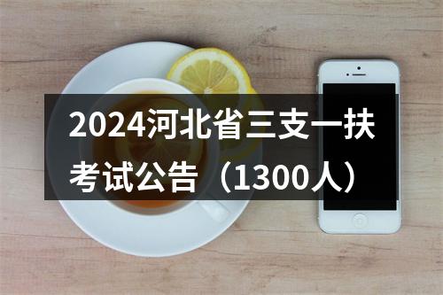 2024河北省三支一扶考试公告（1300人） 图片