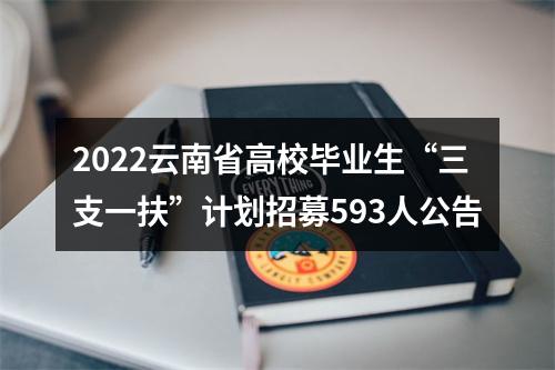 2022云南省高校毕业生“三支一扶”计划招募593人公告 图片