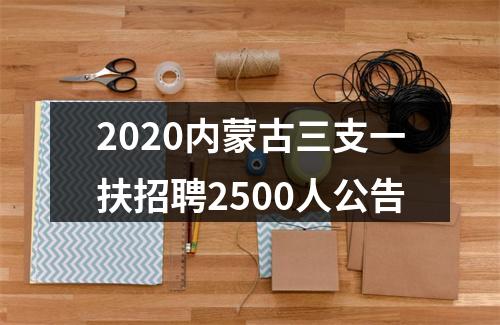 2020内蒙古三支一扶招聘2500人公告 图片