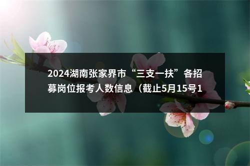 2024湖南张家界市“三支一扶”各招募岗位报考人数信息（截止5月15号17点） 图片