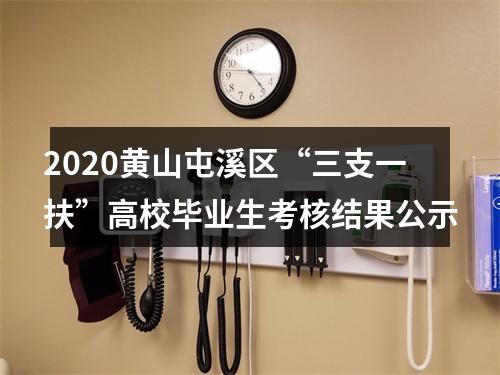 2020黄山屯溪区“三支一扶”高校毕业生考核结果公示 图片