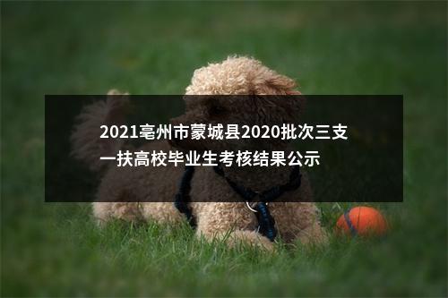 2021亳州市蒙城县2020批次三支一扶高校毕业生考核结果公示 图片