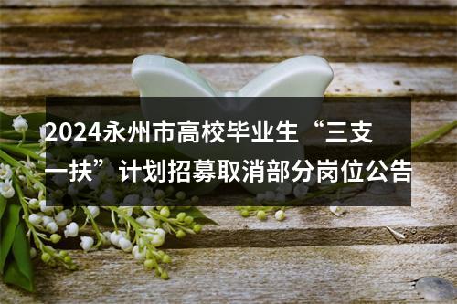 2024永州市高校毕业生“三支一扶”计划招募取消部分岗位公告 图片