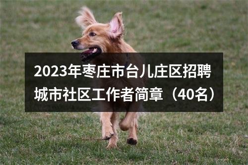 2023年枣庄市台儿庄区招聘城市社区工作者简章（40名） 图片