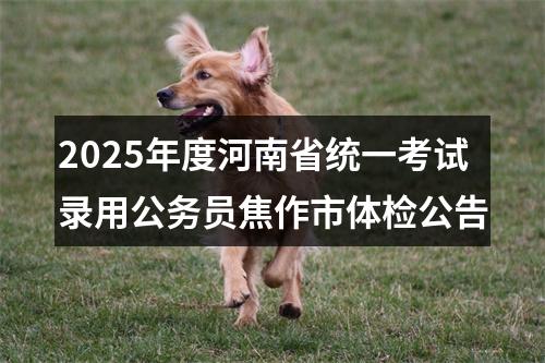 2025年度河南省统一考试录用公务员焦作市体检公告 图片