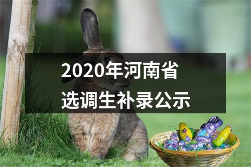 2020年河南省选调生补录公示 图片