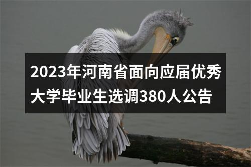 2023年河南省面向应届优秀大学毕业生选调380人公告 图片