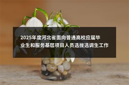 2025年度河北省面向普通高校应届毕业生和服务基层项目人员选拔选调生工作1064名公告 图片