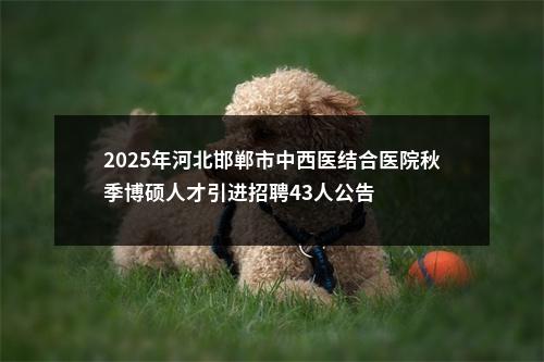 2025年河北邯郸市中西医结合医院秋季博硕人才引进招聘43人公告 图片