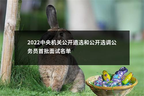 2022中央机关公开遴选和公开选调公务员首批面试名单                进入阅读模式 图片