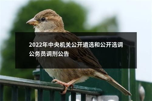 2022年中央机关公开遴选和公开选调公务员调剂公告                进入阅读模式 图片
