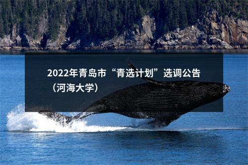 2022年青岛市“青选计划”选调公告（河海大学）                进入阅读模式 图片