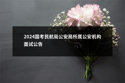 2024国考民航局公安局所属公安机构面试公告                进入阅读模式 图片