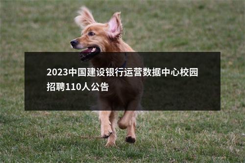 2023中国建设银行运营数据中心校园招聘110人公告                进入阅读模式 图片