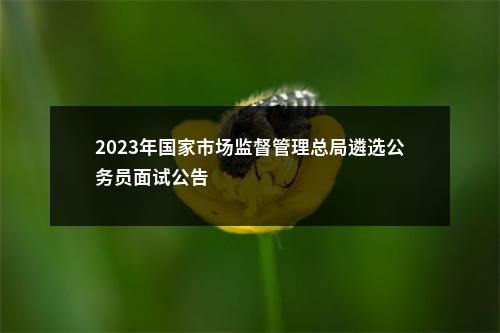 2023年国家市场监督管理总局遴选公务员面试公告                进入阅读模式 图片