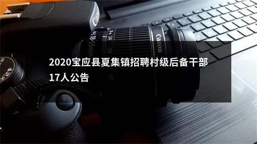 2020宝应县夏集镇招聘村级后备干部17人公告                进入阅读模式 图片