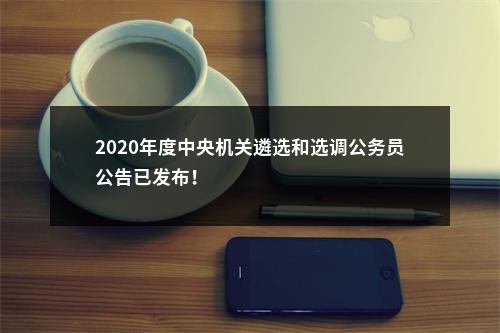 2020年度中央机关遴选和选调公务员公告已发布！                进入阅读模式 图片