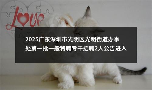 2025广东深圳市光明区光明街道办事处第一批一般特聘专干招聘2人公告进入阅读模式 图片