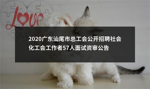 2020广东汕尾市总工会公开招聘社会化工会工作者57人面试资审公告 图片