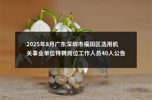 2025年8月广东深圳市福田区选用机关事业单位特聘岗位工作人员40人公告 图片