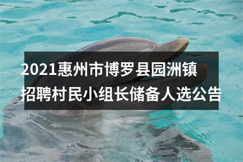 2021惠州市博罗县园洲镇招聘村民小组长储备人选公告 图片