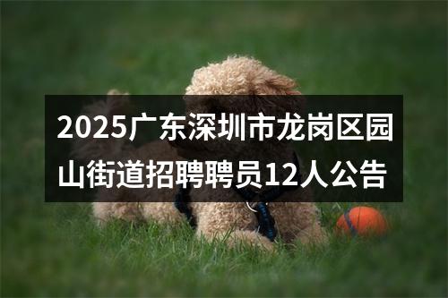 2025广东深圳市龙岗区园山街道招聘聘员12人公告 图片
