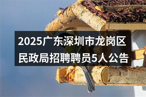 2025广东深圳市龙岗区民政局招聘聘员5人公告 图片