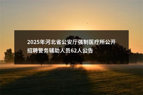 2025年河北省公安厅强制医疗所公开招聘警务辅助人员62人公告 图片