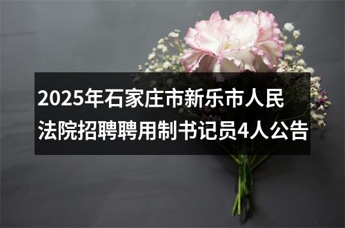 2025年石家庄市新乐市人民法院招聘聘用制书记员4人公告 图片