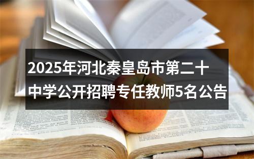 2025年河北秦皇岛市第二十中学公开招聘专任教师5名公告 图片