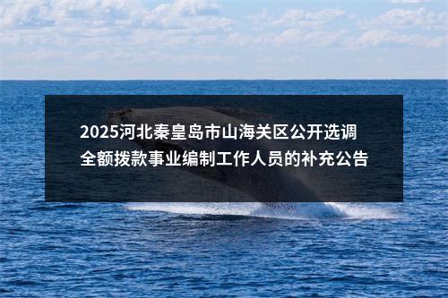 2025河北秦皇岛市山海关区公开选调全额拨款事业编制工作人员的补充公告 图片