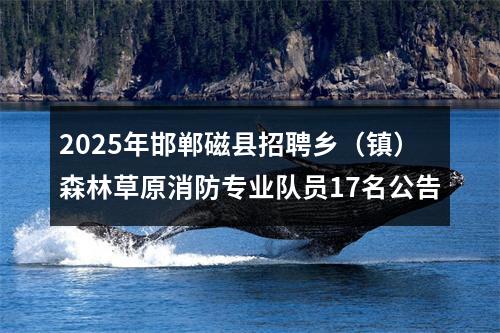 2025年邯郸磁县招聘乡（镇）森林草原消防专业队员17名公告 图片