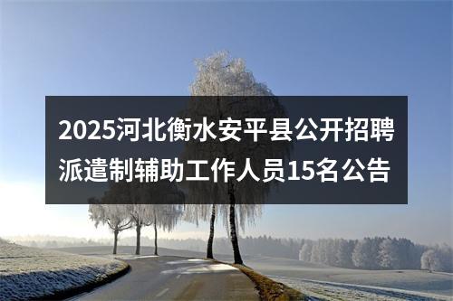 2025河北衡水安平县公开招聘派遣制辅助工作人员15名公告 图片