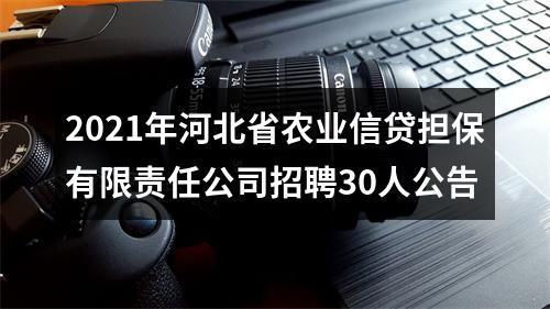 2025年河北邢台宁晋县公开招聘幼儿教师50名公告 图片