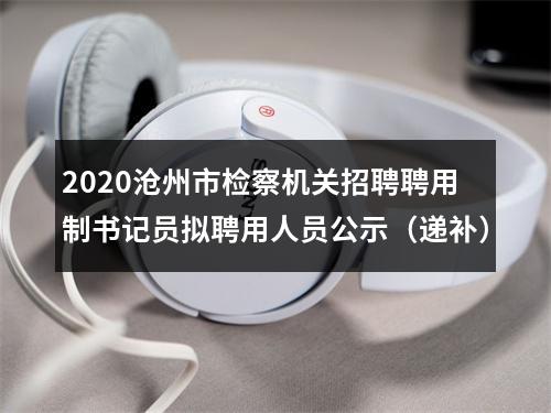 2020沧州市检察机关招聘聘用制书记员拟聘用人员公示（递补） 图片