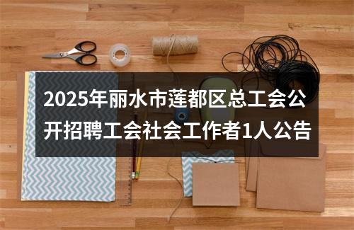 2025年丽水市莲都区总工会公开招聘工会社会工作者1人公告 图片