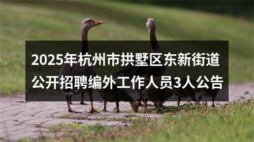2025年杭州市拱墅区东新街道公开招聘编外工作人员3人公告 图片