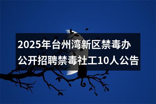 2025年台州湾新区禁毒办公开招聘禁毒社工10人公告 图片