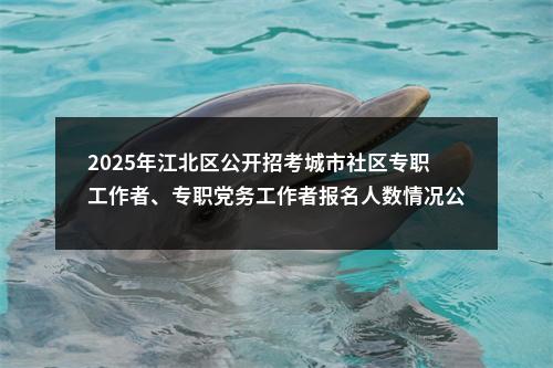 2025年江北区公开招考城市社区专职工作者、专职党务工作者报名人数情况公告(截止6月25日) 图片