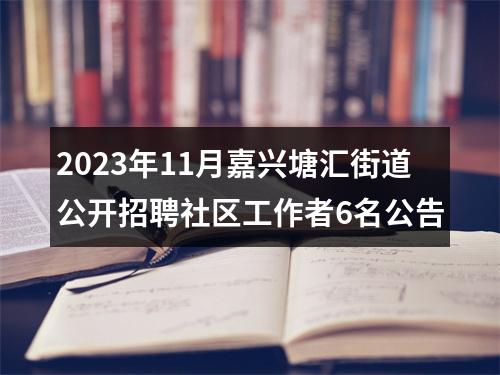 2023年11月嘉兴塘汇街道公开招聘社区工作者6名公告 图片