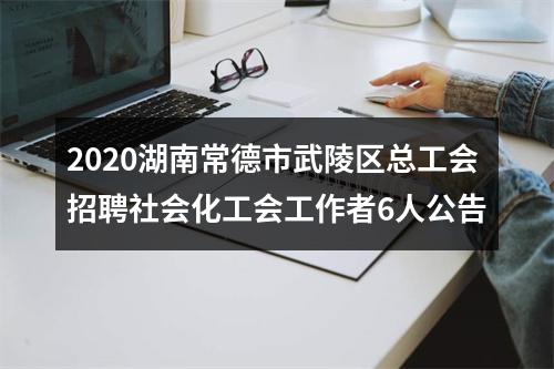 2020湖南常德市武陵区总工会招聘社会化工会工作者6人公告 图片