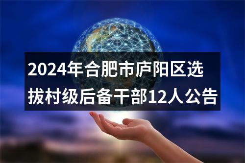 2024年合肥市庐阳区选拔村级后备干部12人公告 图片
