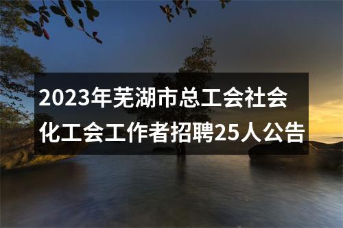 2023年芜湖市总工会社会化工会工作者招聘25人公告 图片