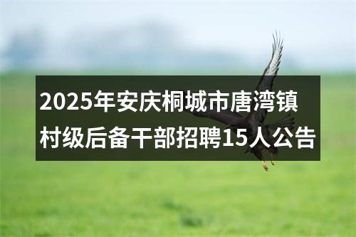 2025年安庆桐城市唐湾镇村级后备干部招聘15人公告 图片