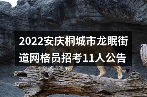 2022安庆桐城市龙眠街道网格员招考11人公告 图片