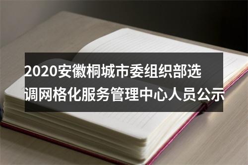 2020安徽桐城市委组织部选调网格化服务管理中心人员公示 图片