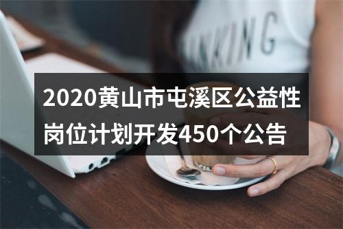 2020黄山市屯溪区公益性岗位计划开发450个公告 图片